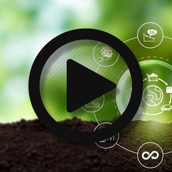 Cycle-de-vie Cycle-de-vie